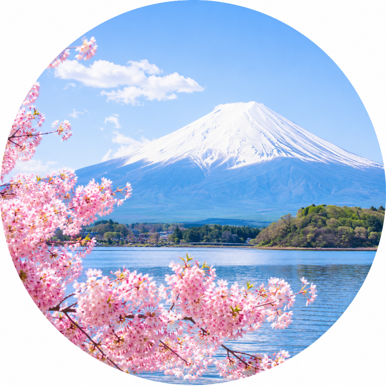 files/ChatGPT_Image_11_de_jun._de_2026_15_38_35.png